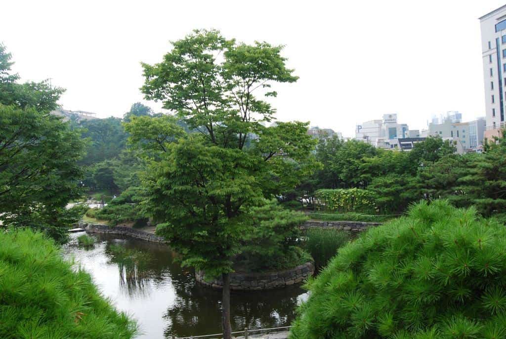 A Local Park In Seoul