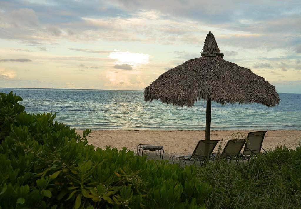 Things To Do In Miami Beach