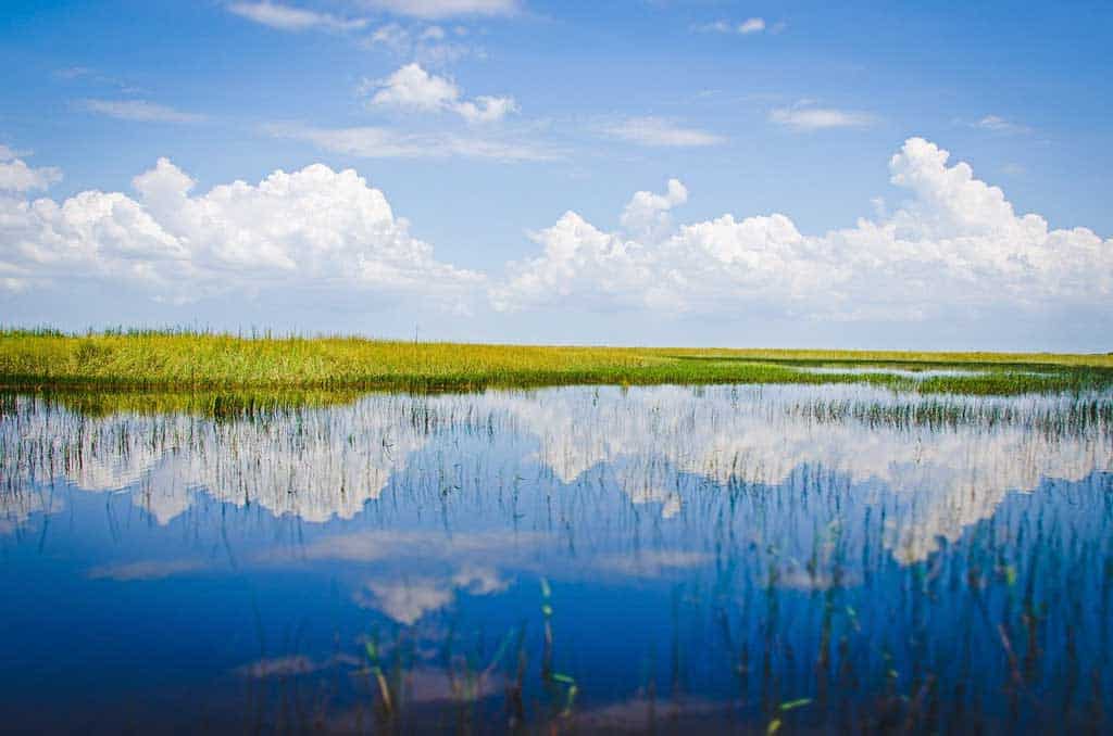 Everglades Miami Itinerary