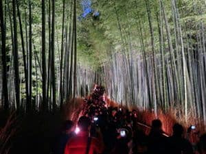 kyoto arashiyama nomadasaurus grove bamboo