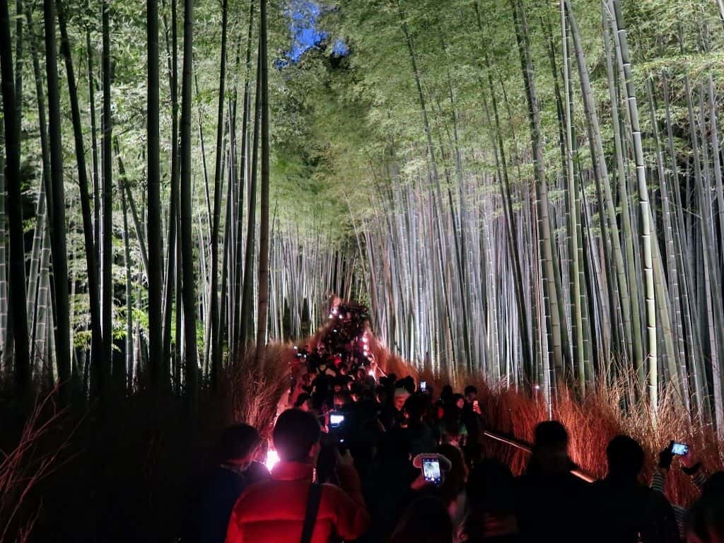 Lamps And Lanterns Light Of The Arashiyama Bamboo Grove