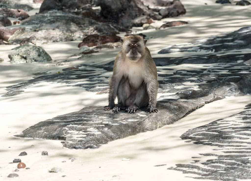 Monkey Beach Koh Phi Phi