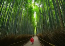 The 18 BEST Things to Do in Kyoto, Japan (2022 Update)