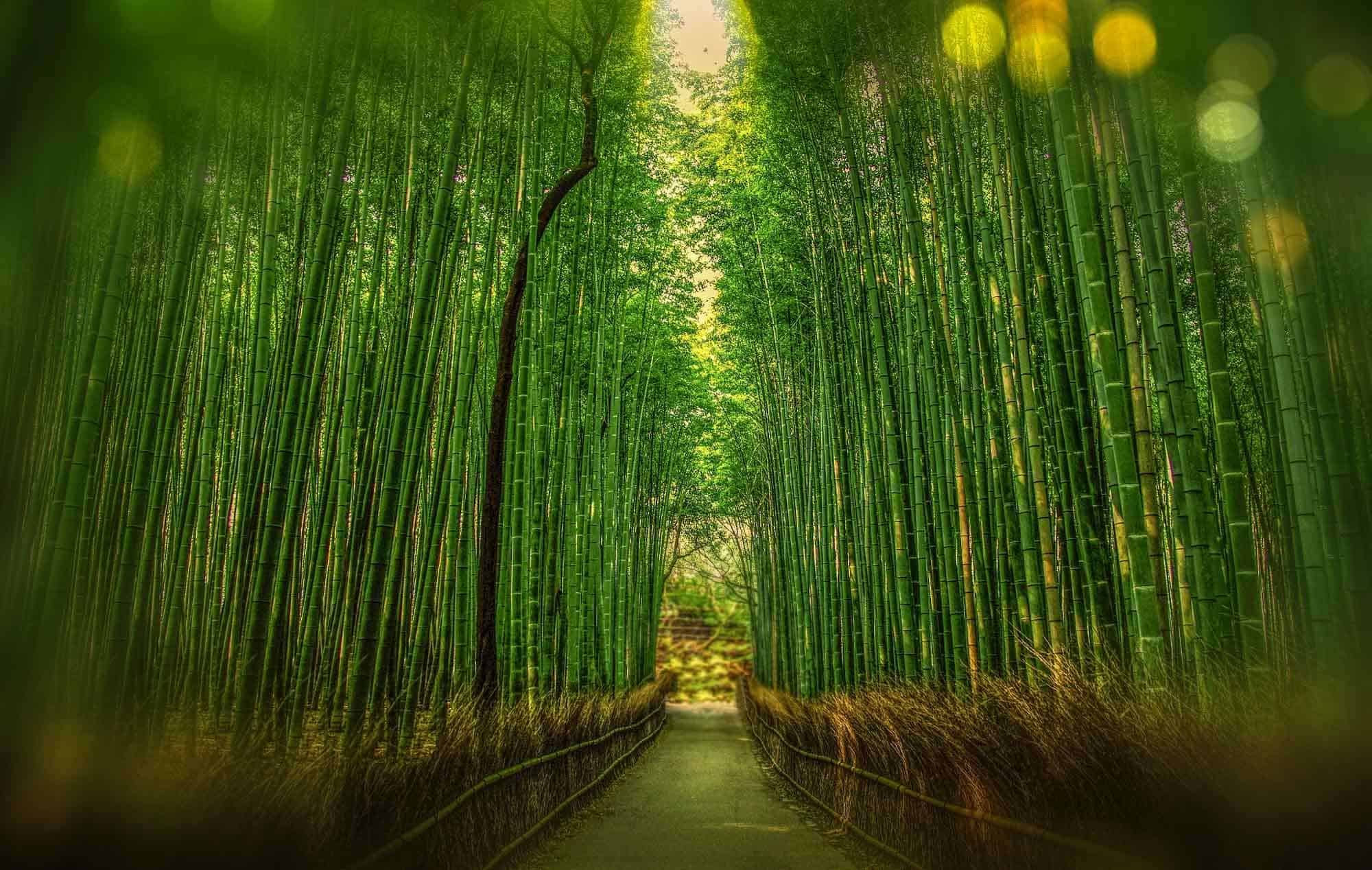 travel guide to japan Osaka Day Trips
