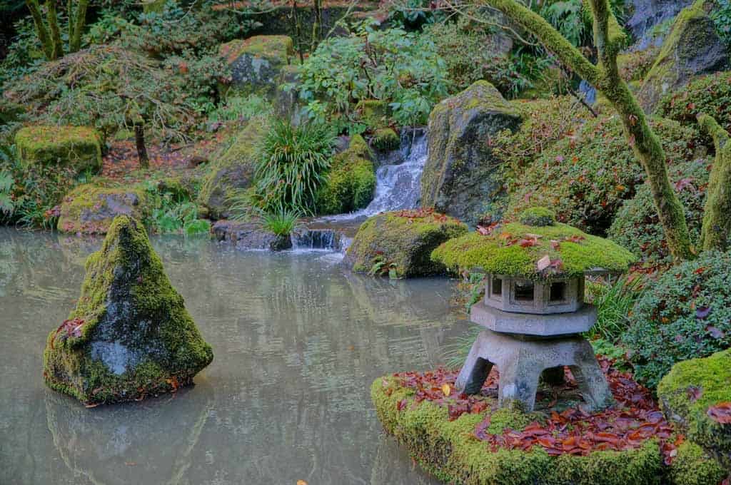 Japanese Garden Portland