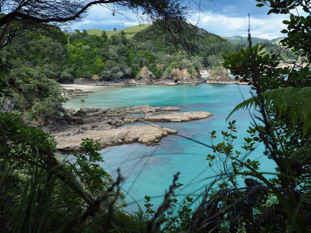 Tutukaka-Coast-New Zealand