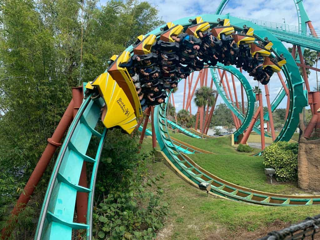 Busch Gardens Roller Coaster