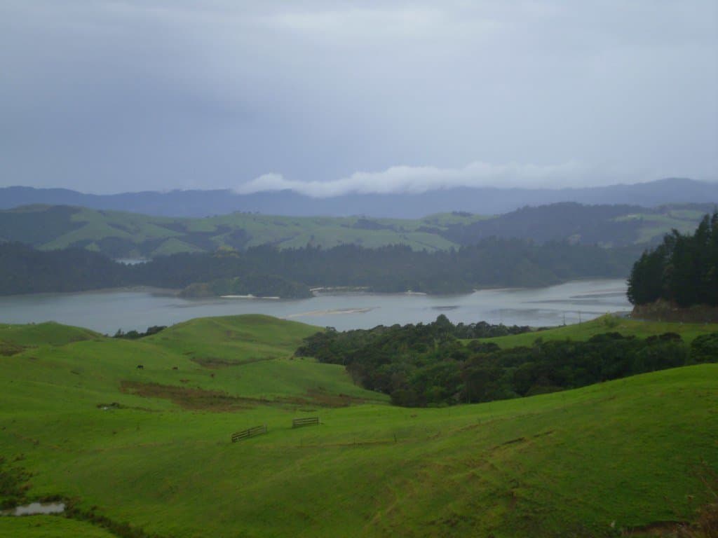 Coromandel-New-Zealand