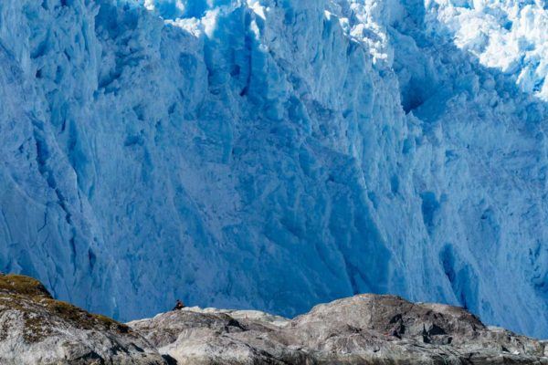 15 SECRET Landscape Photography Tips (Plus Go-To Settings)
