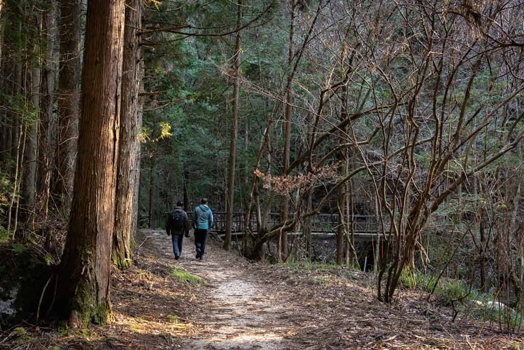 Nakasendo Way