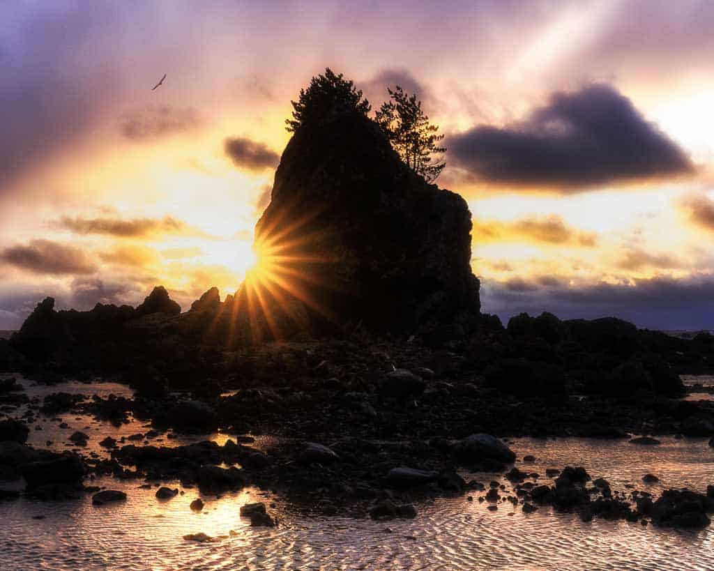 Sado Island Coastline