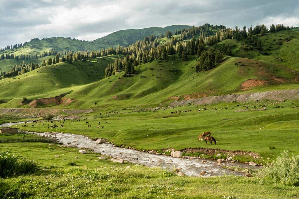 Horses In Kyrgyzstan Sense Of Scale