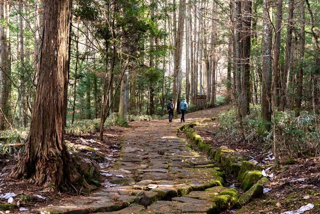 Stone Pavement In Ochiai