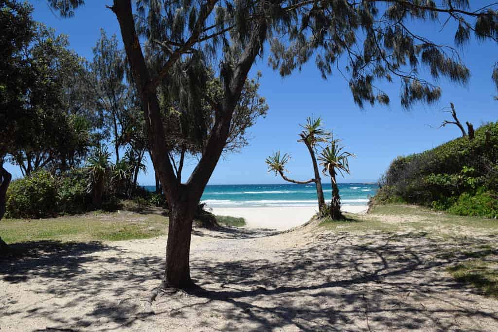 North Stradbroke Island Beaches And Trees