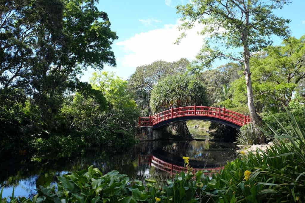 Botanic Gardens Things To Do In Wollongong!