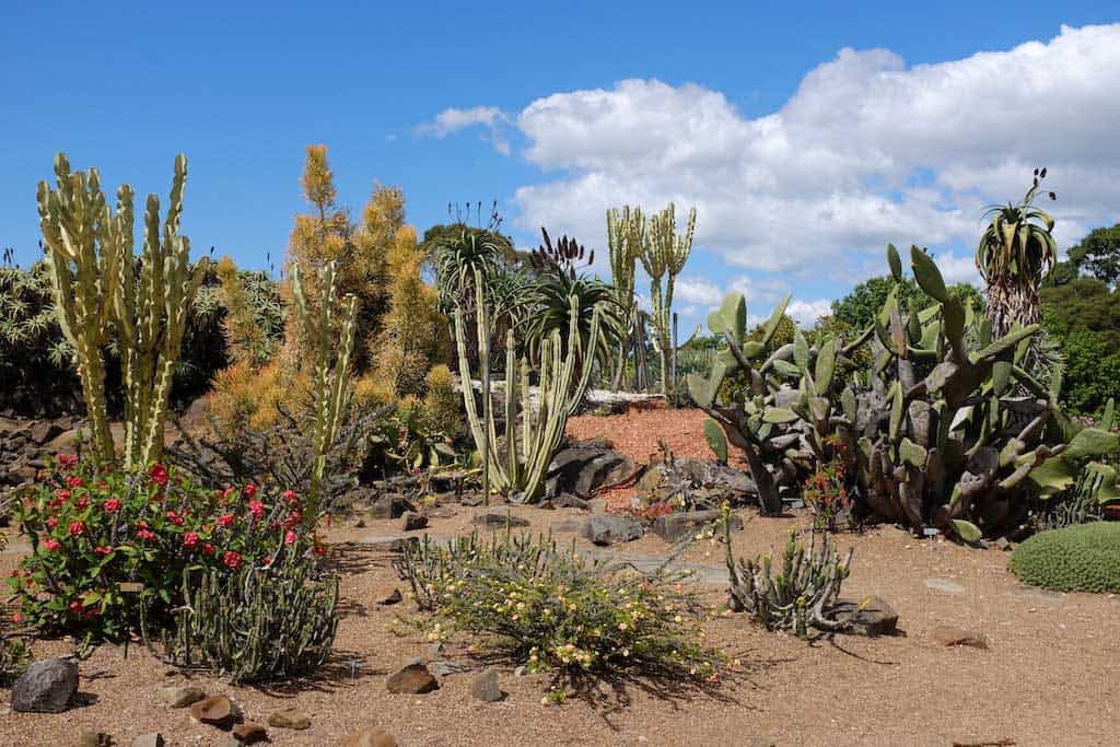 Wollongong Botanic Gardens