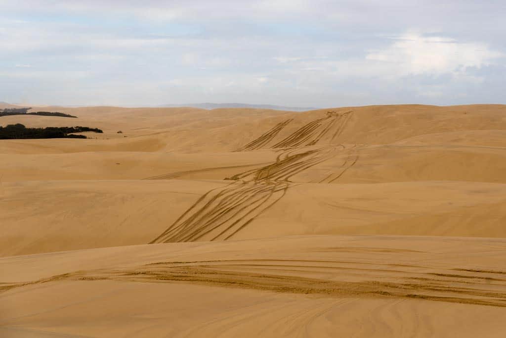 Rolling Sand Dunes