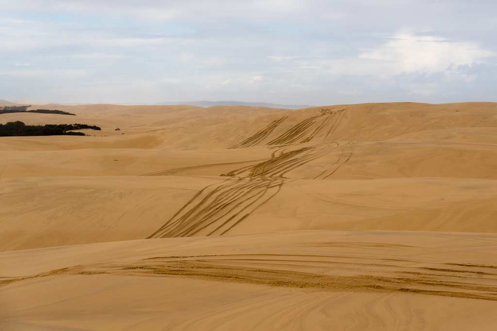 Quad Biking Port Stephens