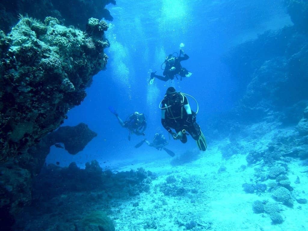 Scuba Diving And Discovering The Underwater World