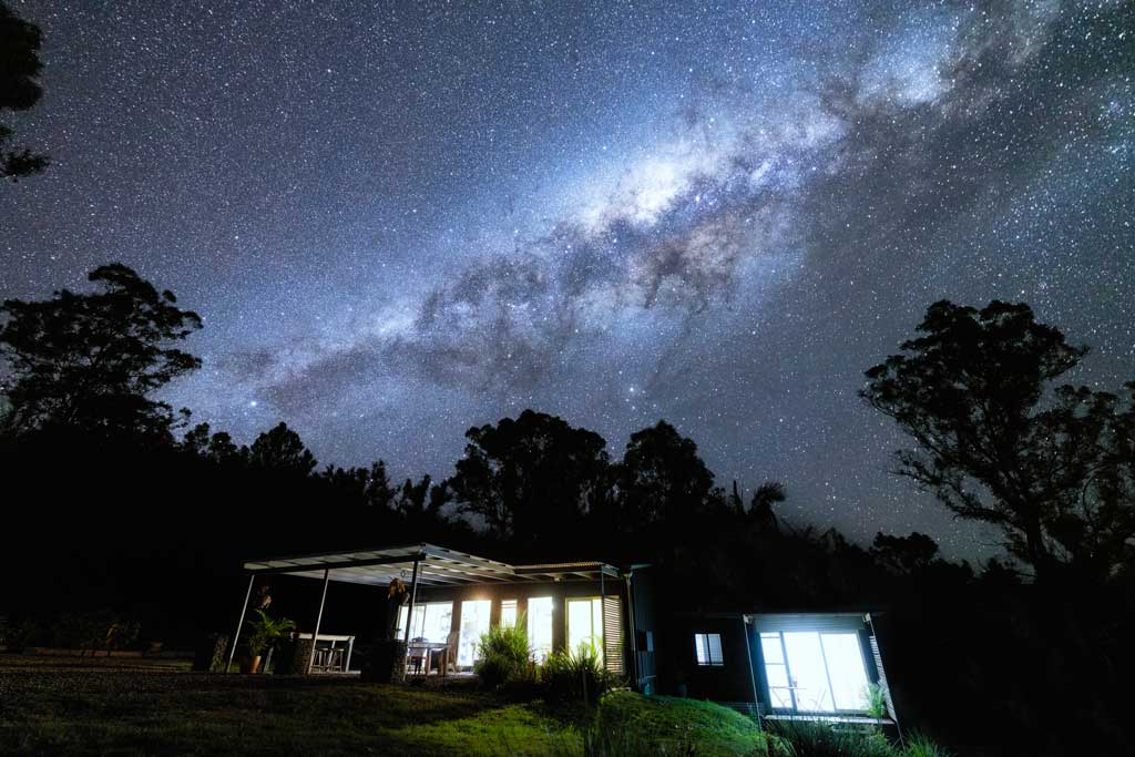 Spirit Of The Rainforest Milky Way