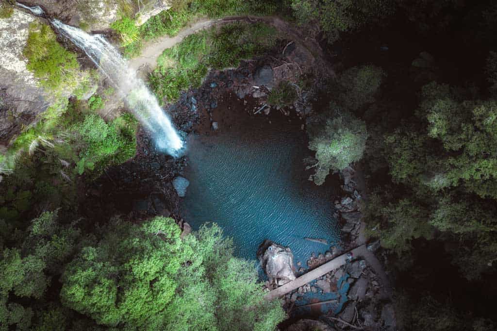 Twin Falls Springbrook National Park