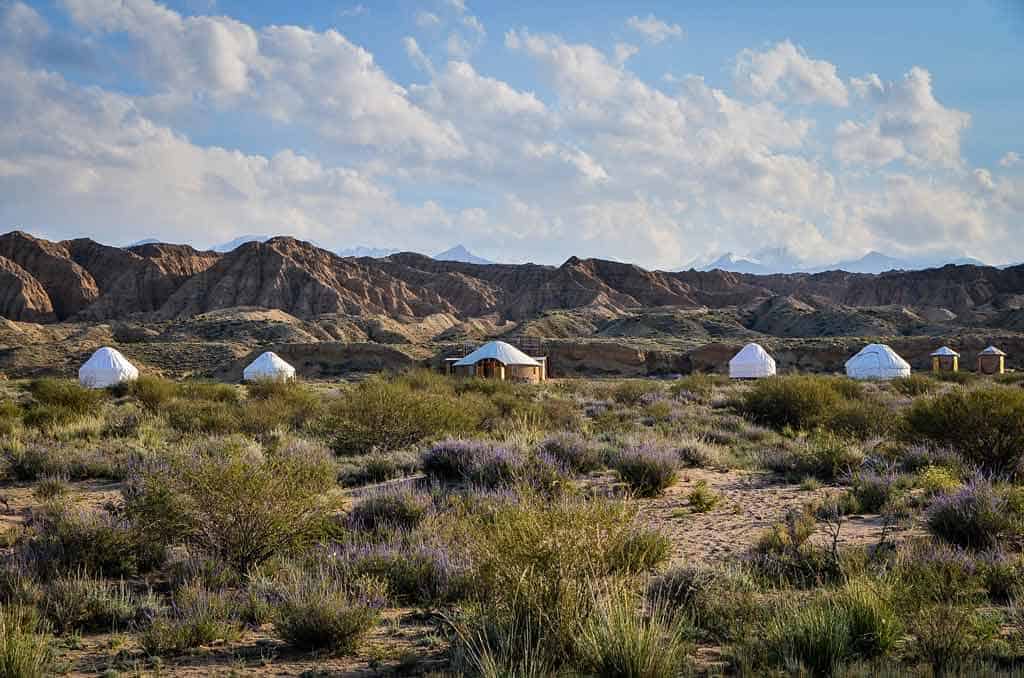 Feel Nomad Yurt Camp