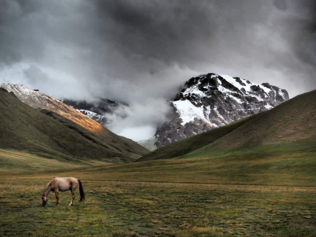 A Horse Grazes In The Valley At Kol Suu