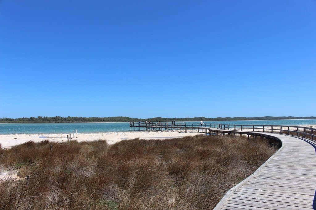 Boardwalk Path Leading Out To The Lake