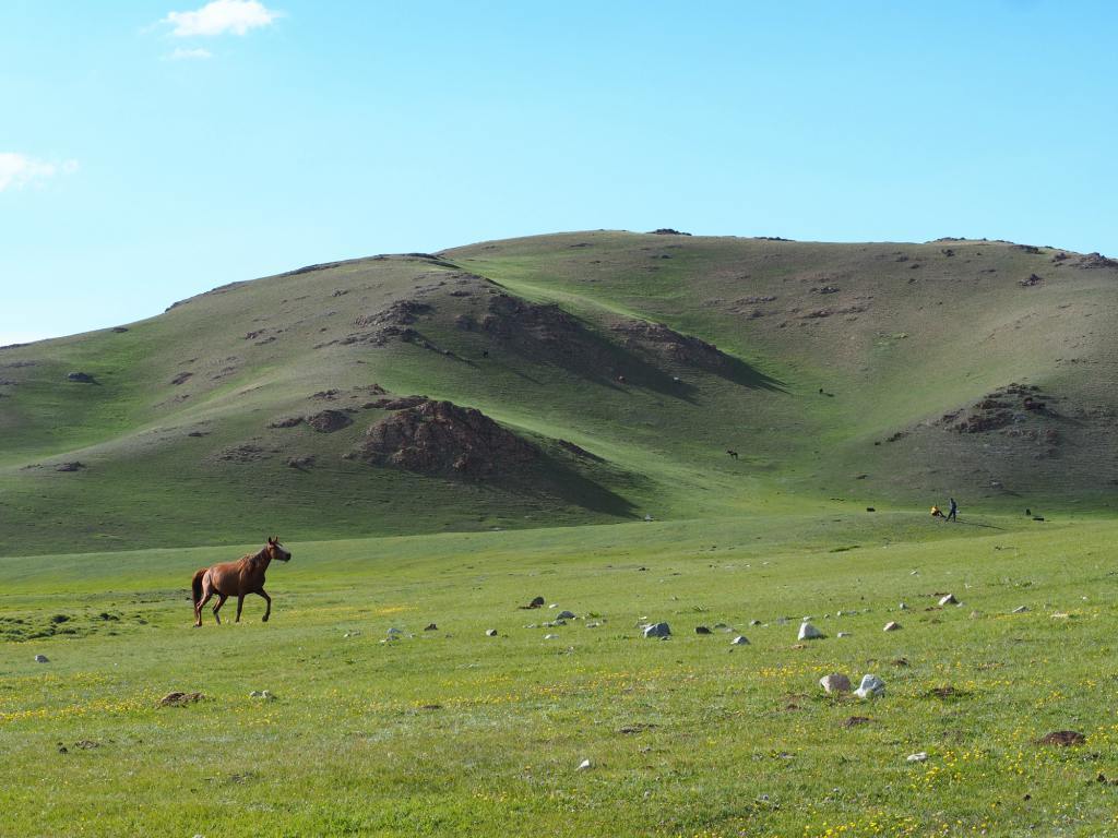 Horse-Galloping-Song-Kul