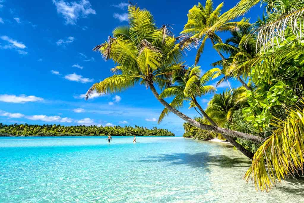 Palm Trees Aitutaki Landscape