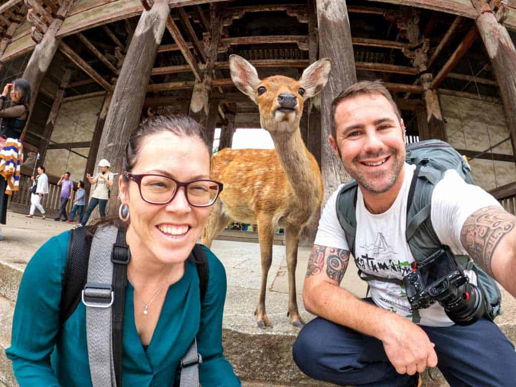 Us Deer Nara Japan