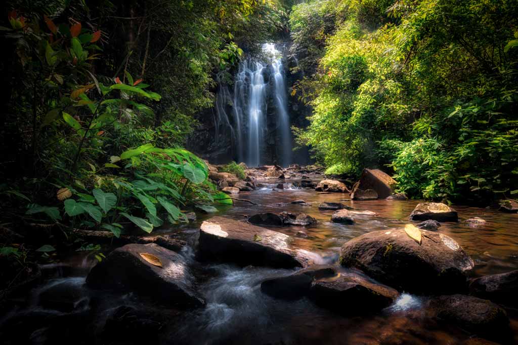 Elinjaa Falls Framing Composition