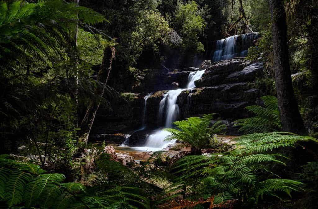 Liffey Falls Cpl Filter