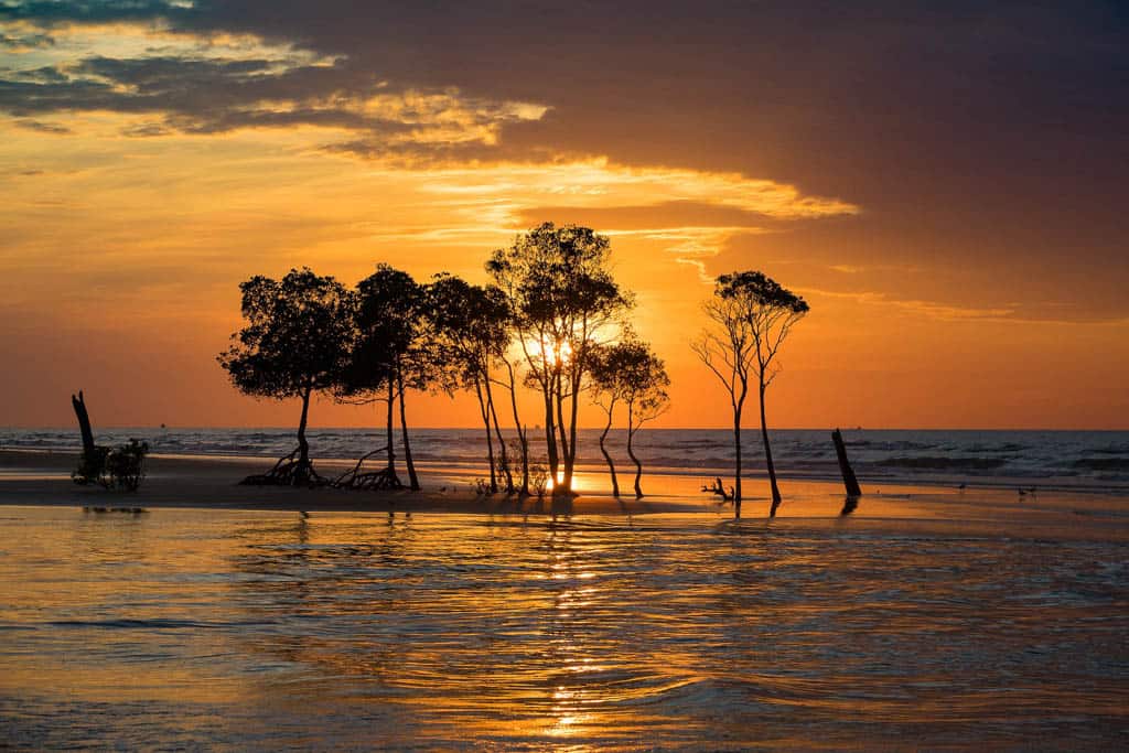 Sunset Cruise In Darwin