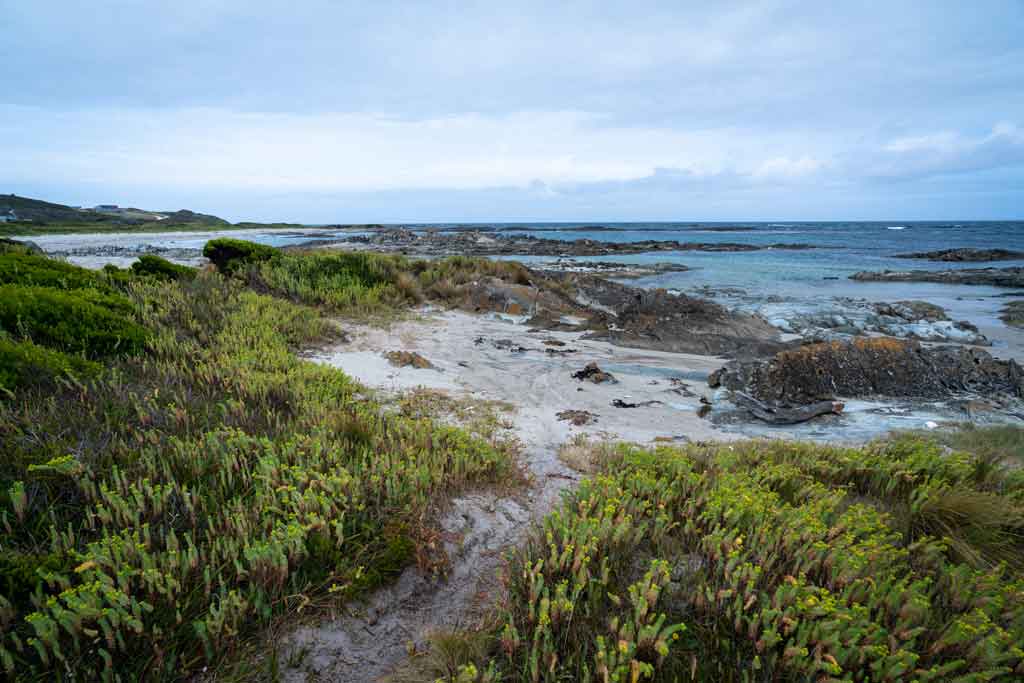 Coastline Nelson Bay