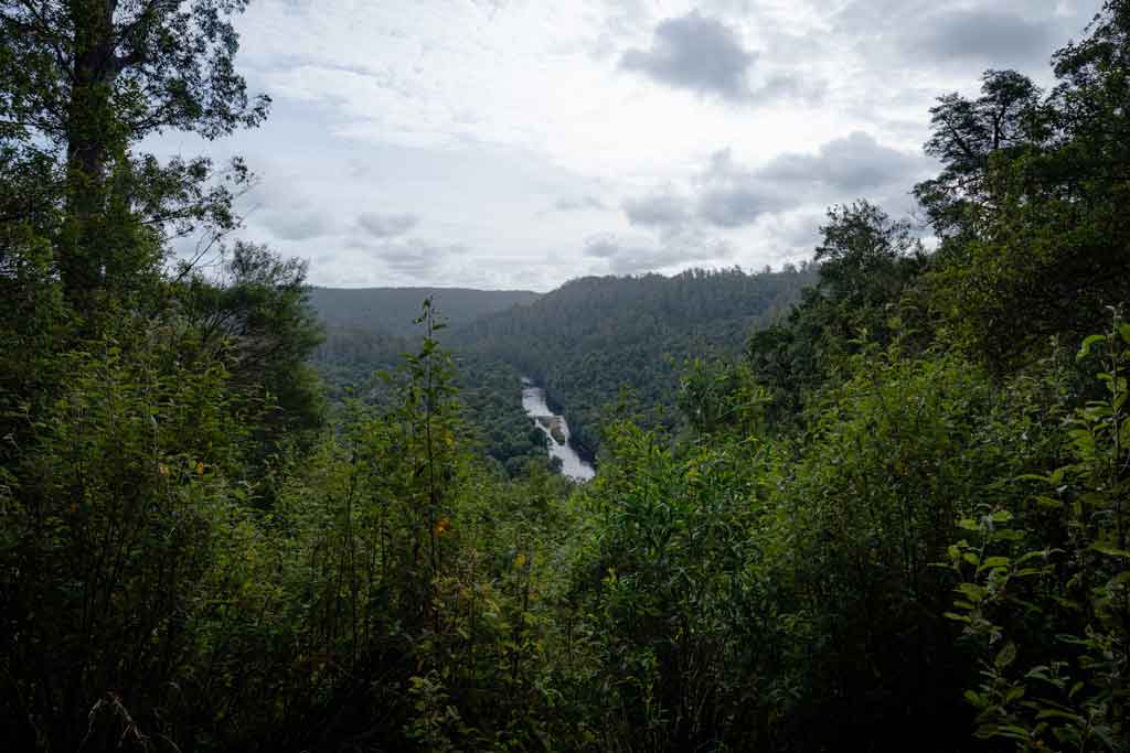 Sumac Lookout