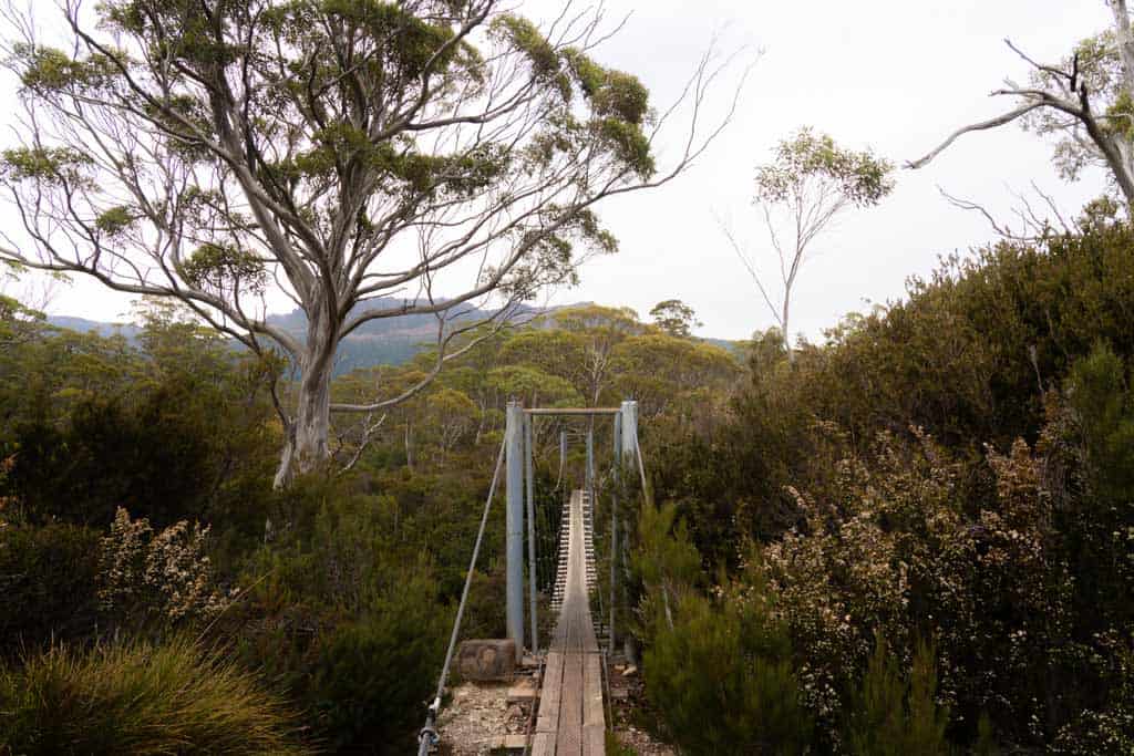 Pine Valley Suspension Bridge