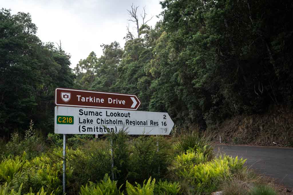 Tarkine Dri Signve