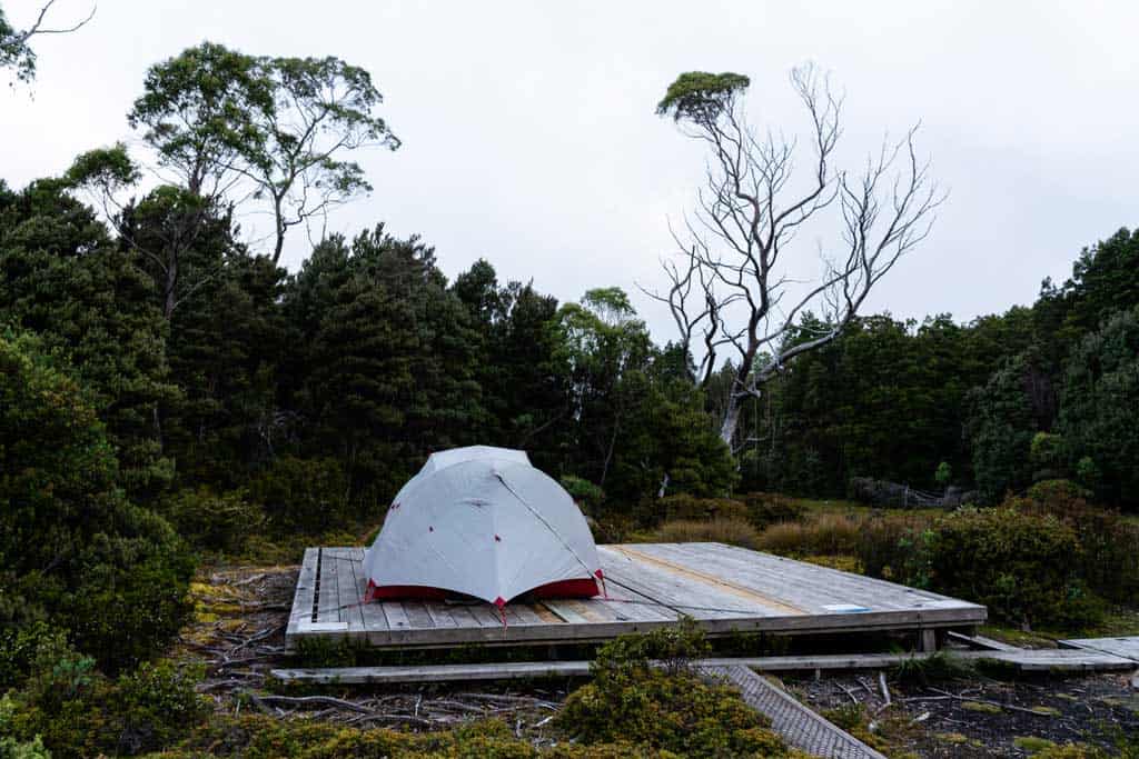 Tent Platform Windermere