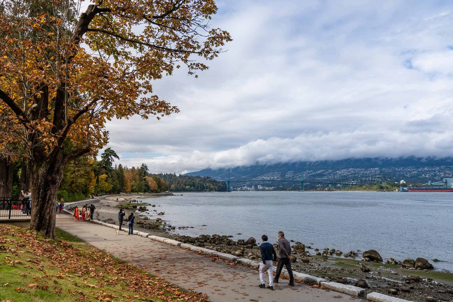 Things To Do In Vancouver