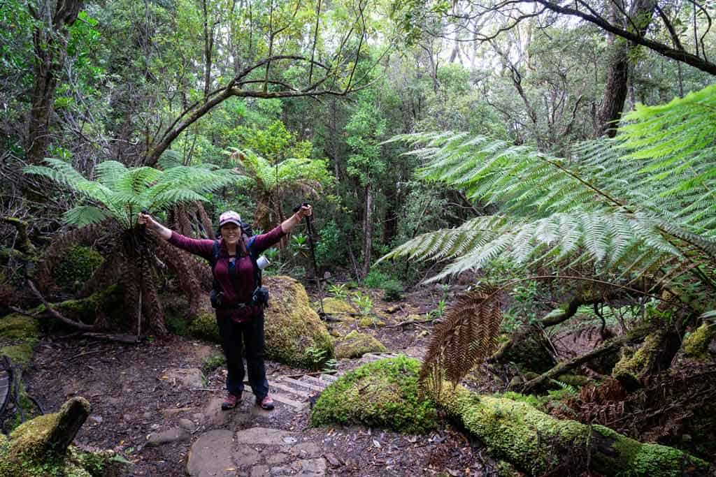 Hiking In The Forest