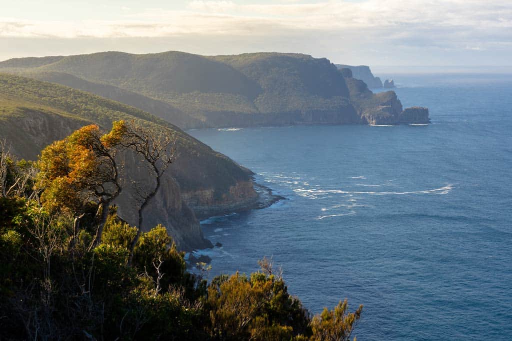 Coastline Of Tasman Peninsula