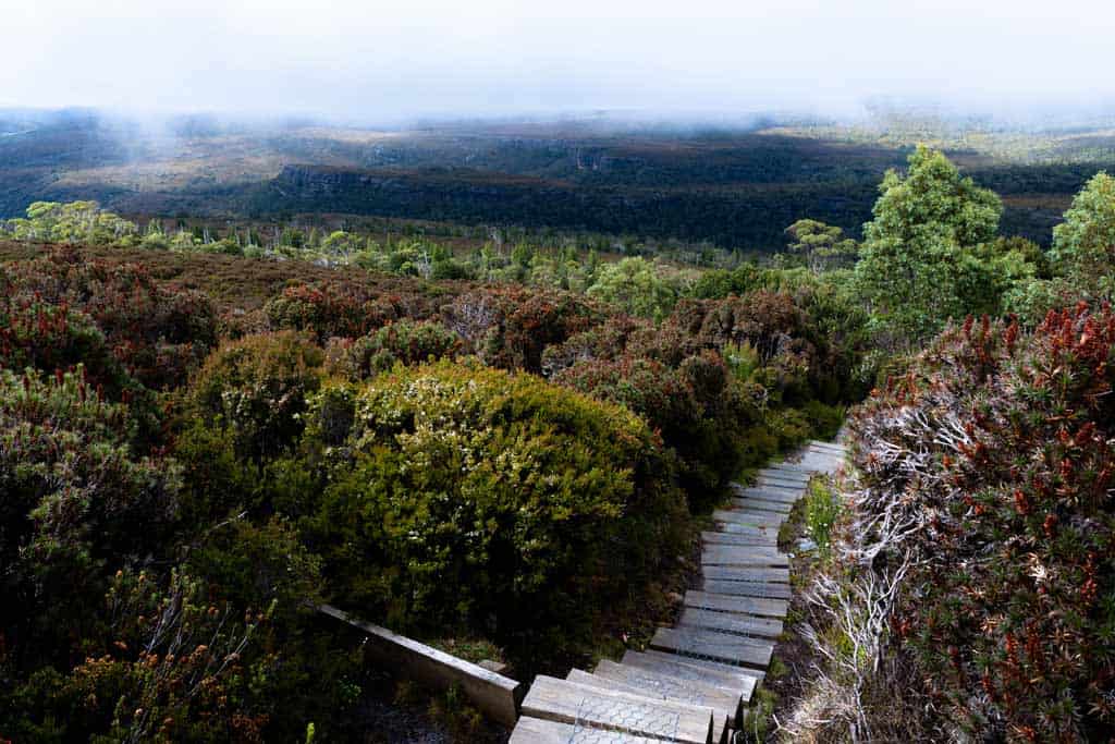 Boardwalks On Overland Track