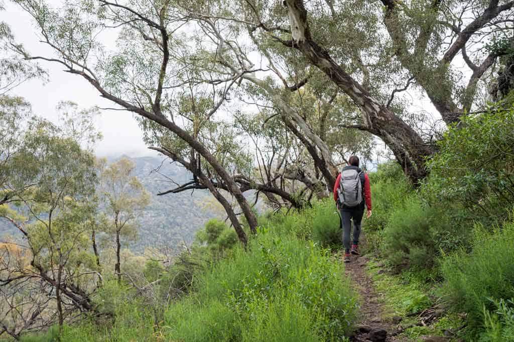Hiking In Warrumbungle National Park