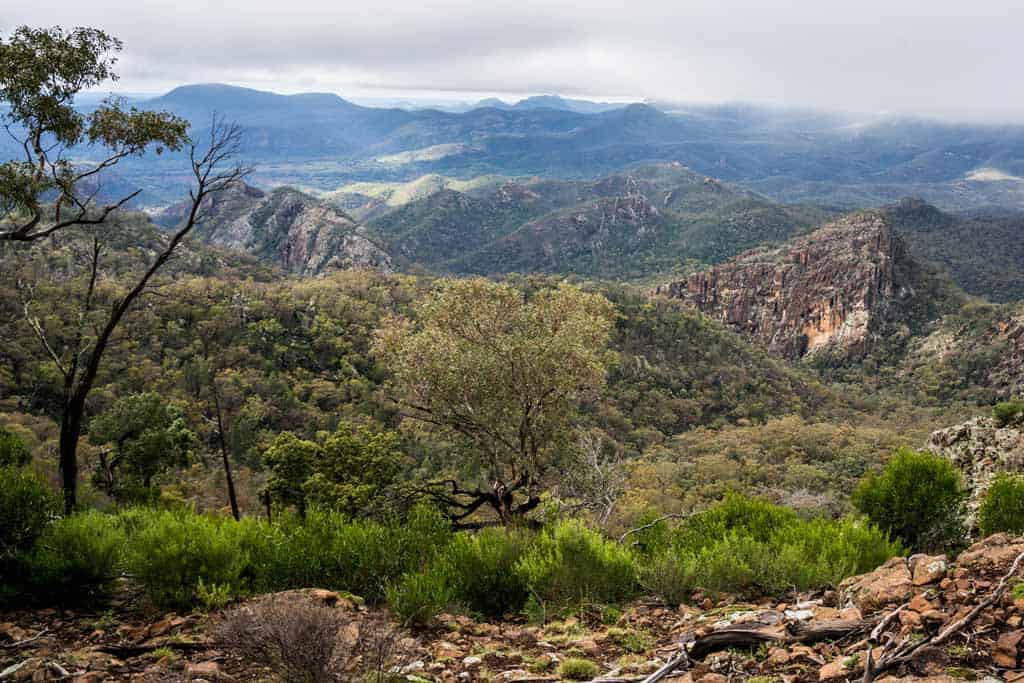 Warrumbungle Np 16