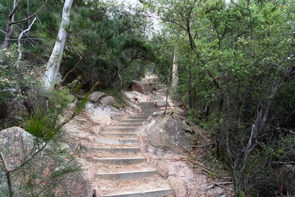 Steps To Wineglass Bay Lookout 