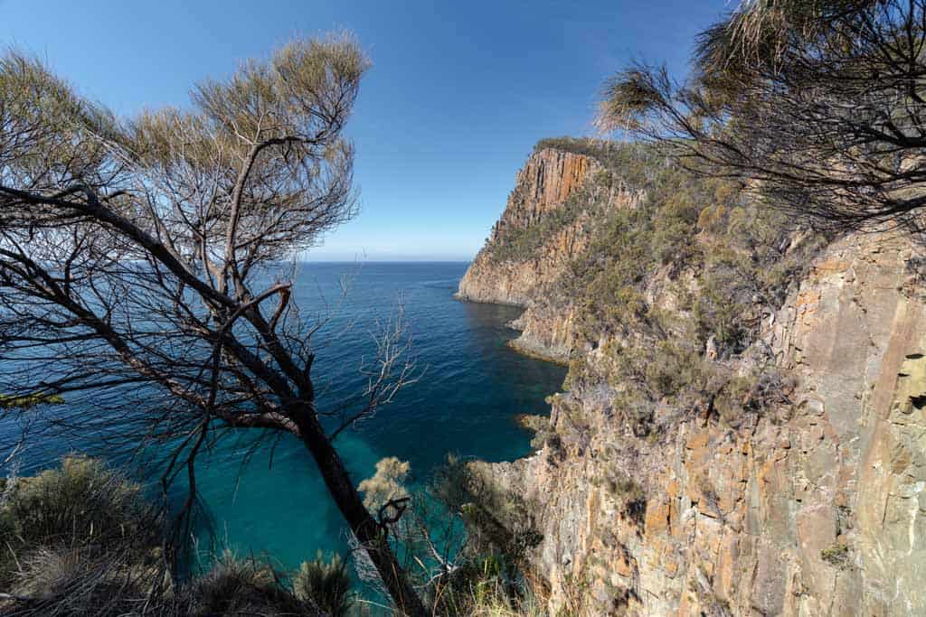 Bruny Island Wilderness Cruise