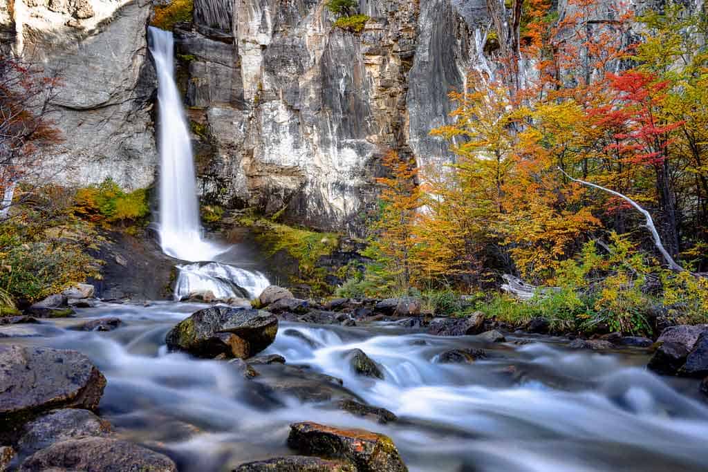 Chorillo Del Salto El Chalten