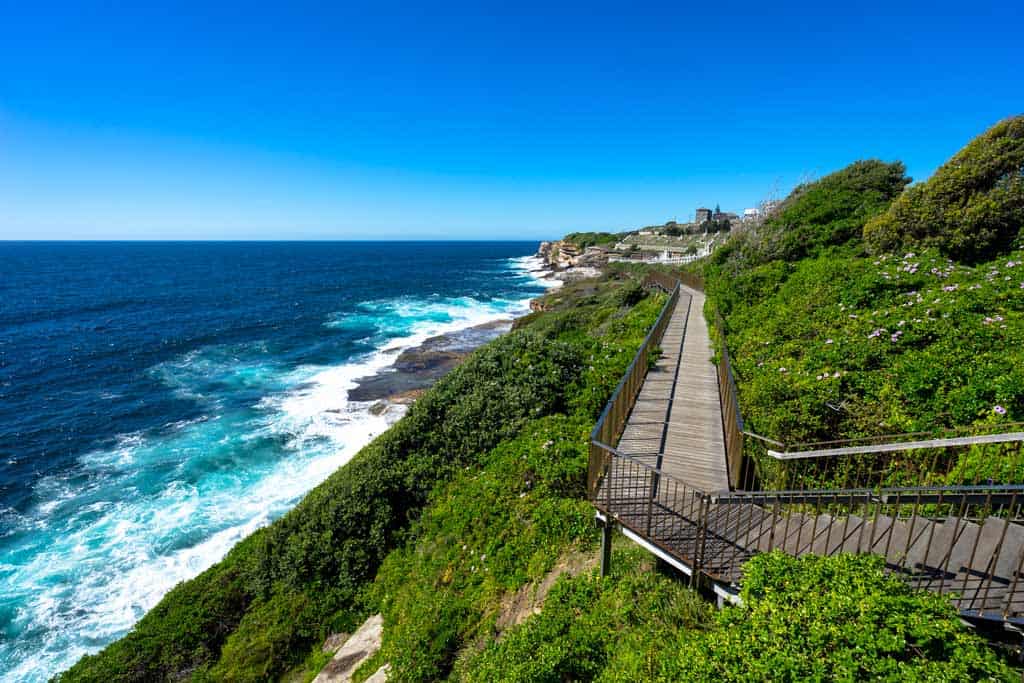 Path On The Coatal Walk From Bondi To Coogee