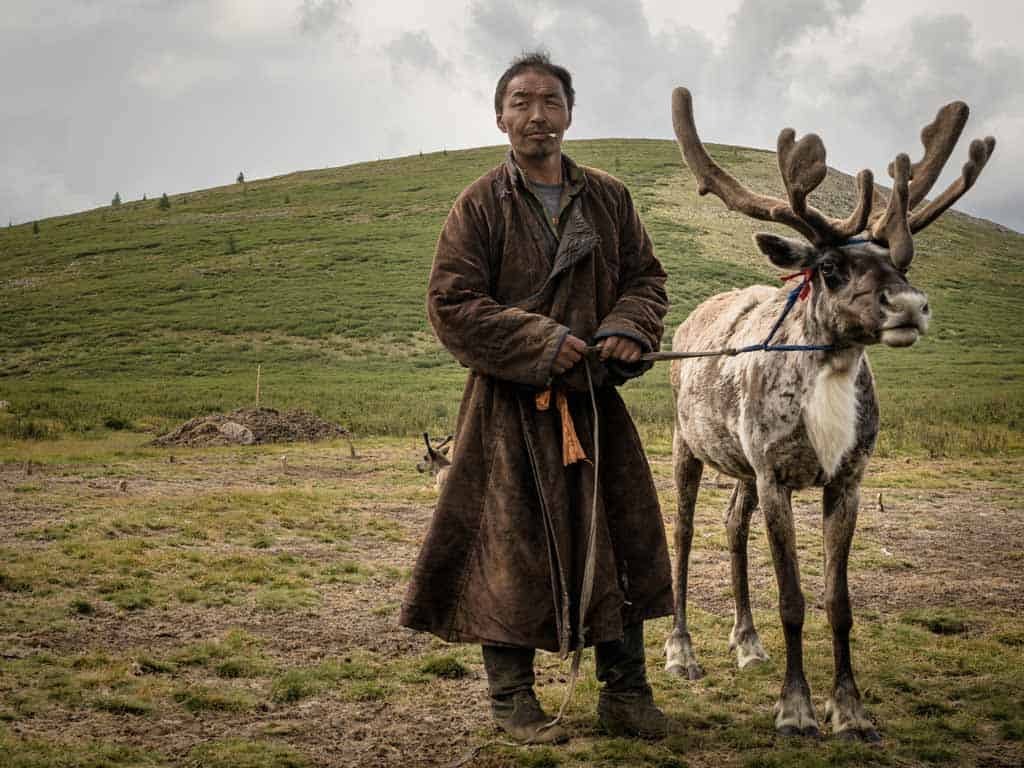 Magsar Reindeer King